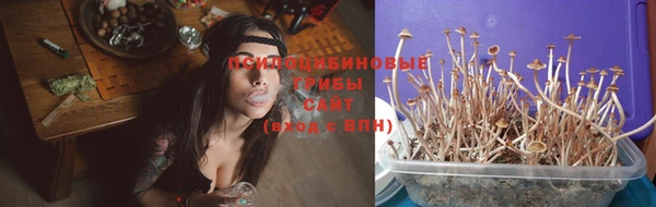 ешки Алексеевка